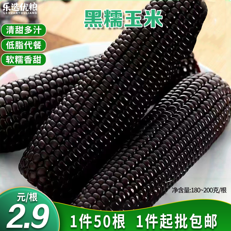 黑糯玉米 180~200克/根