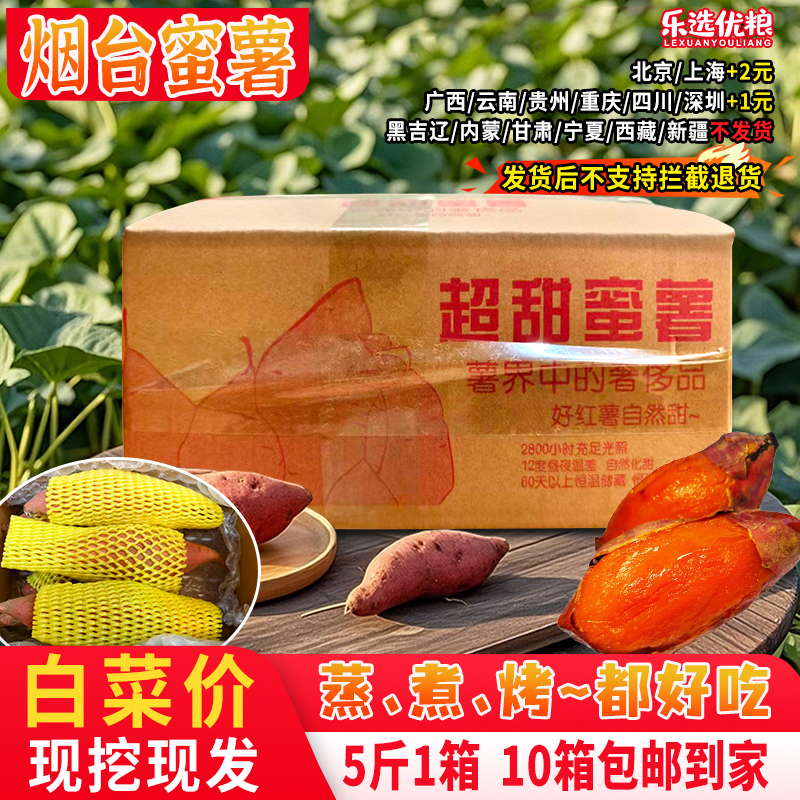 烟台蜜薯--5斤装